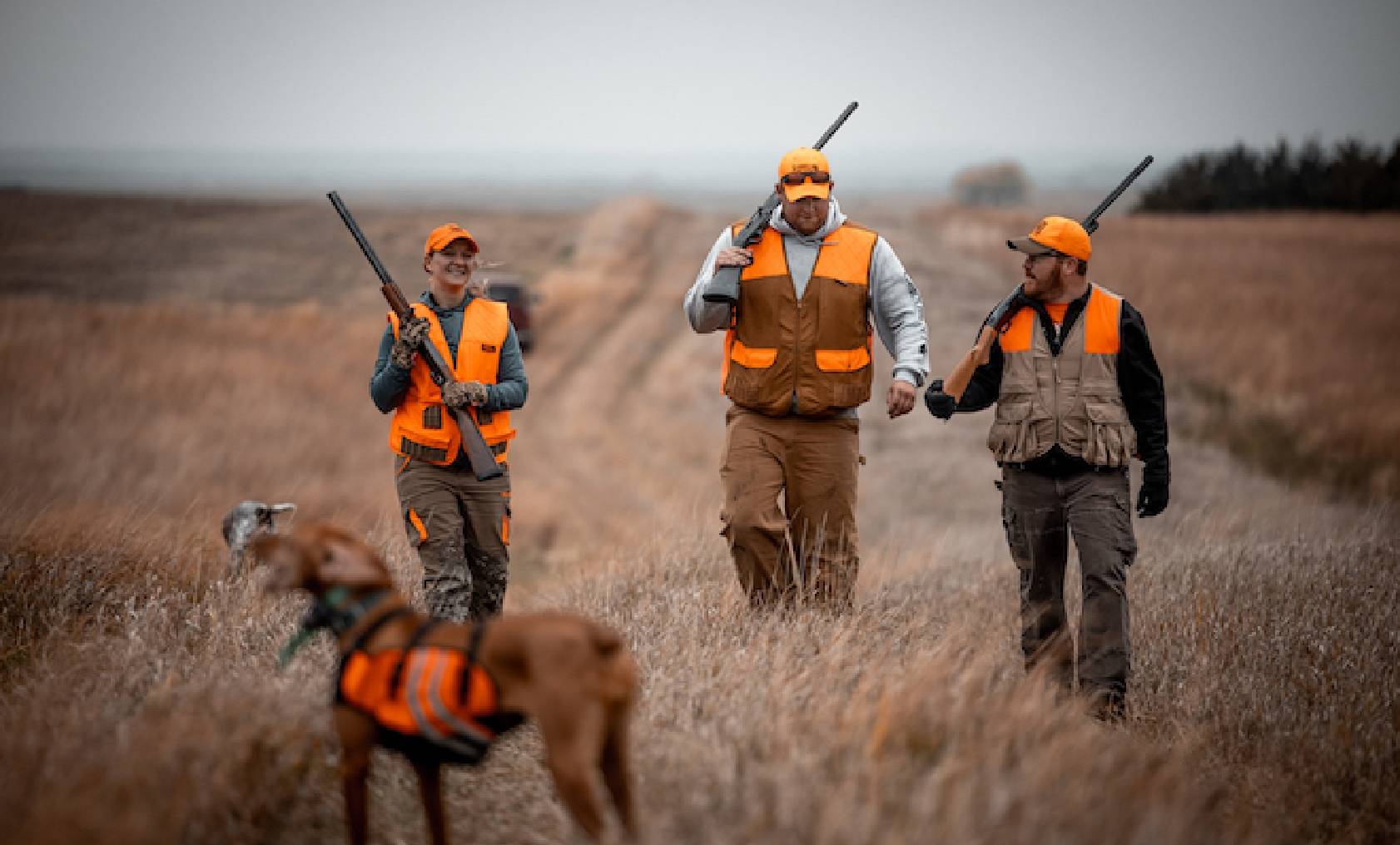 Party hunting blog image