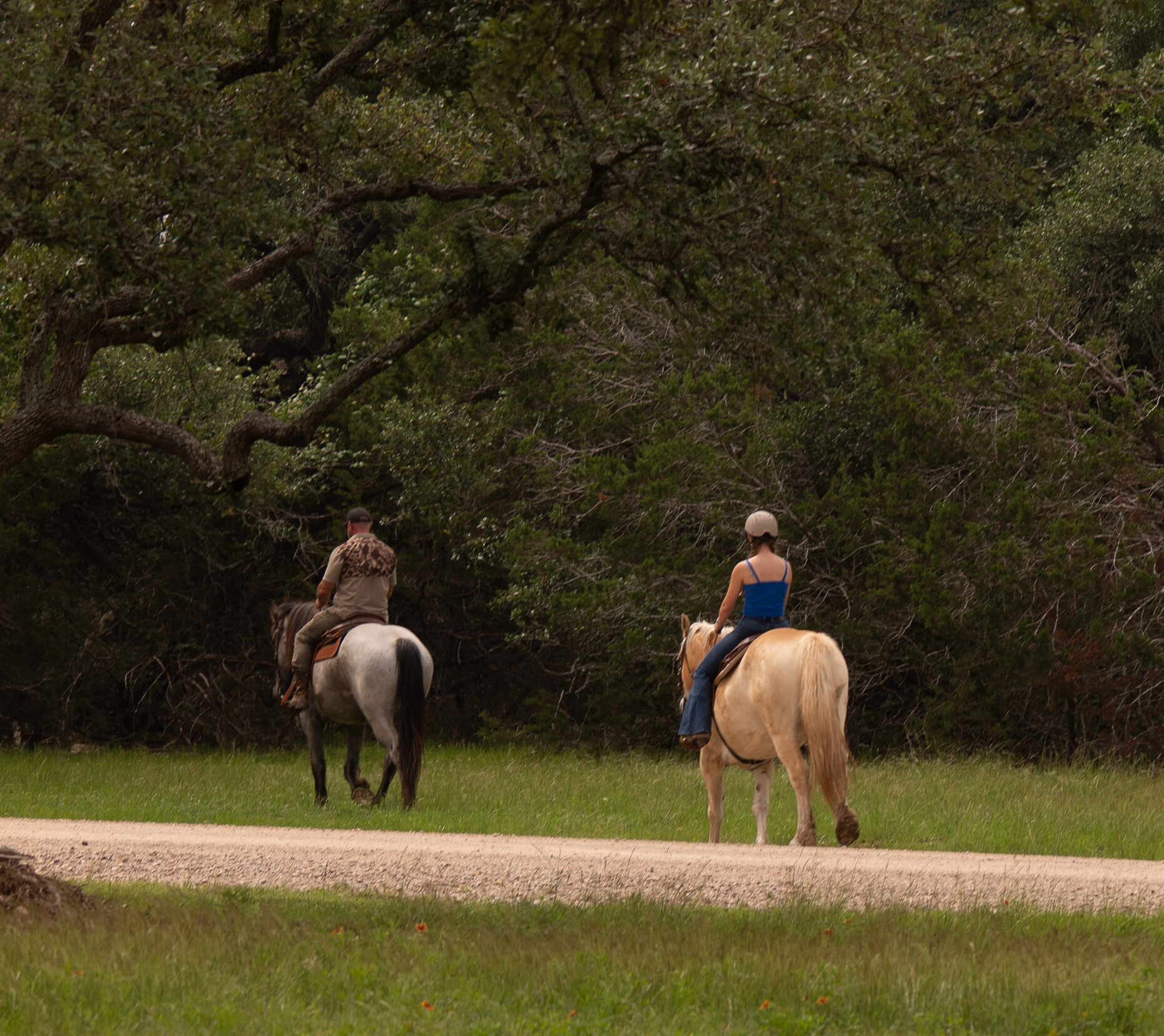 Trail Ride