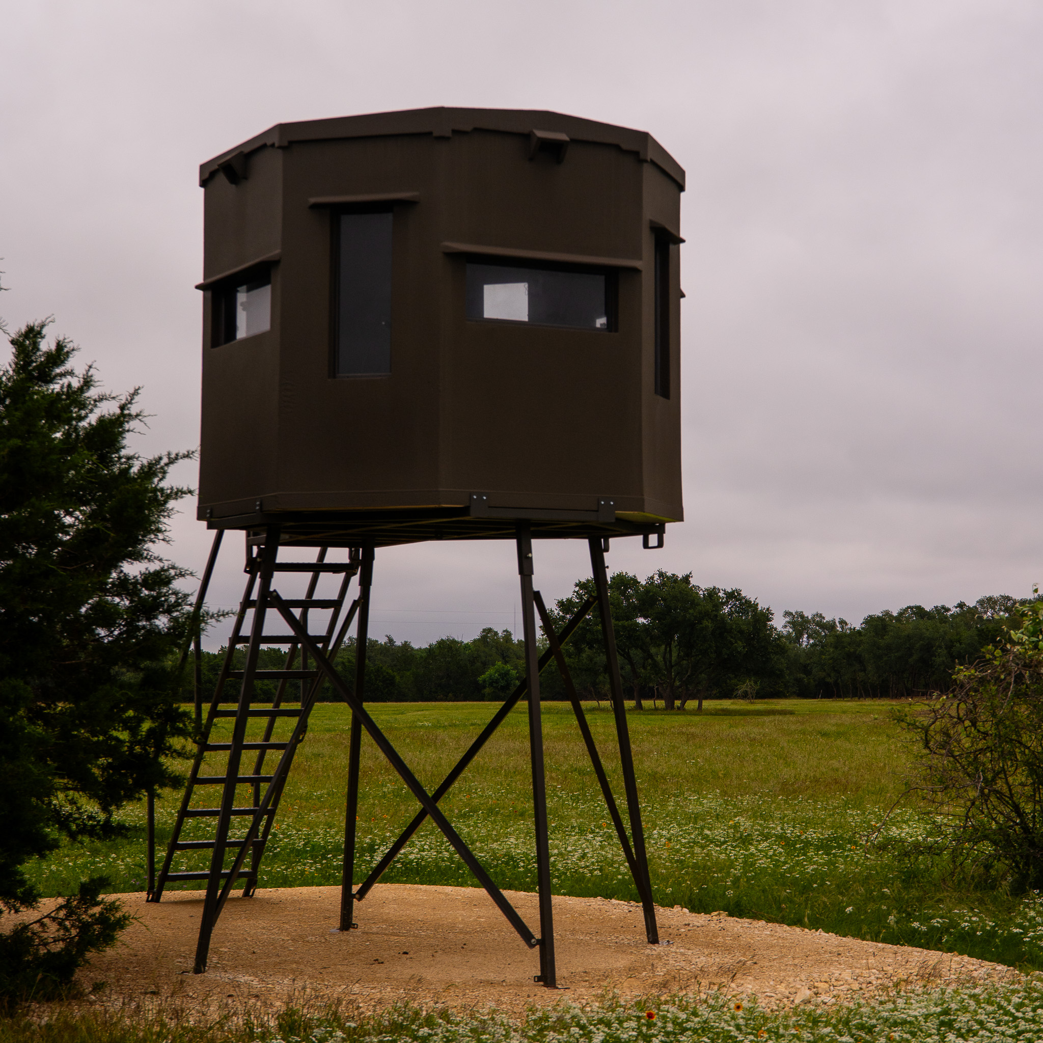 Deer Blind